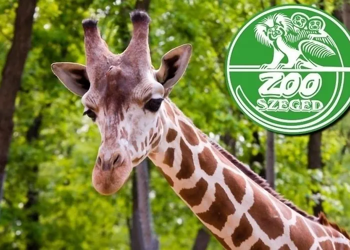 Ven Diofa De Lux Panzio 4* Segedín